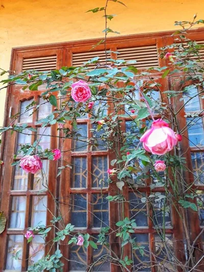 Thanh Ha Homestay Sapa – Fotos 14